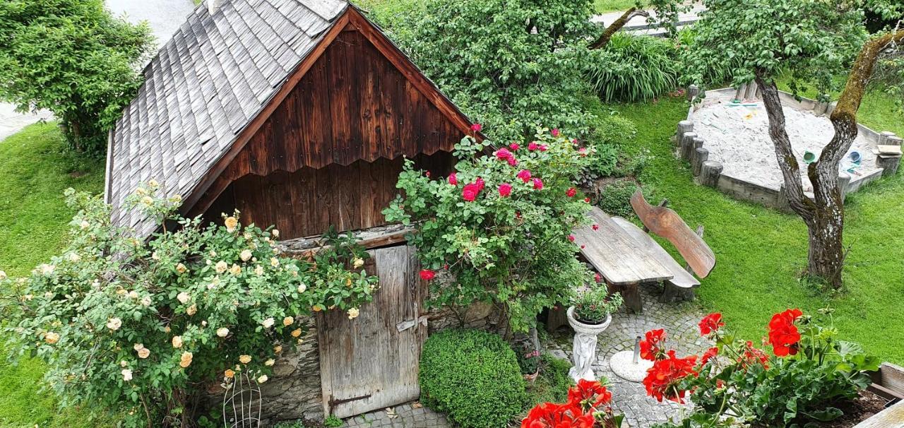 Apartamento Fenzhof Schladming