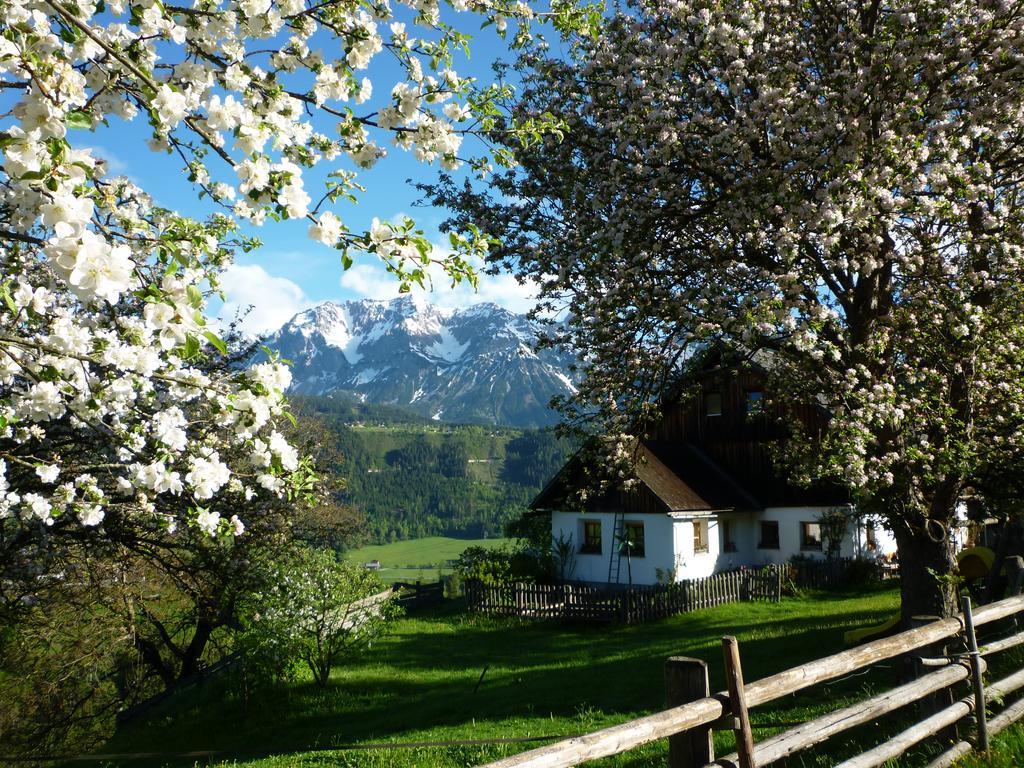 Fenzhof Apartamento