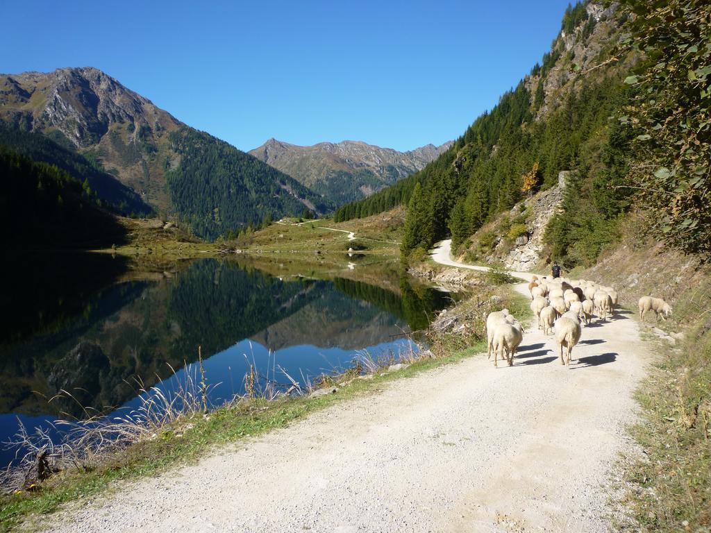 Apartamento Fenzhof