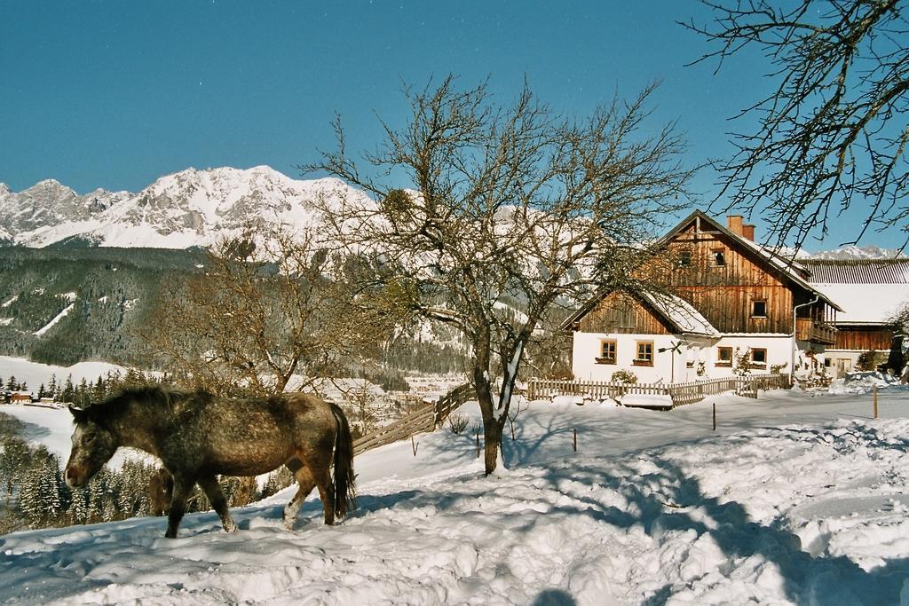 Fenzhof Apartamento *